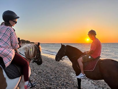 NiVa Ranch Horse Riding Rhodes