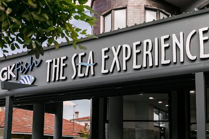 GKfish The Sea Experience