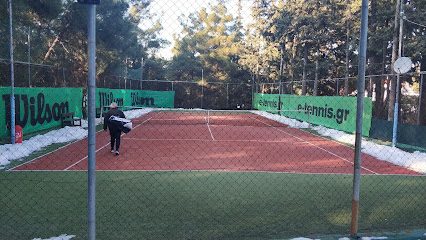 Ελαιώνες Tennis Club