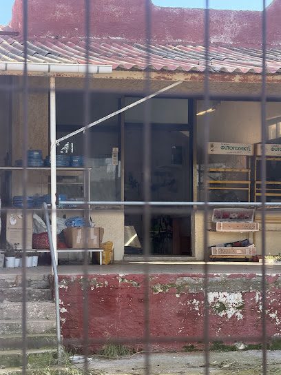 ΚΡΗΤΙΚΟΣ ΘΕΟΦΙΛΟΣ