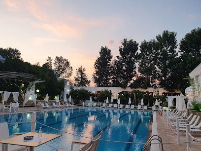 Arena Pool Bar