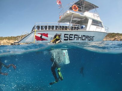 Seahorse Dive Center