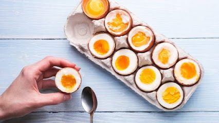 Οικογένεια Κοντογιάννη