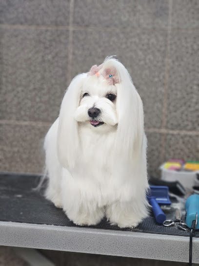 Mamadog