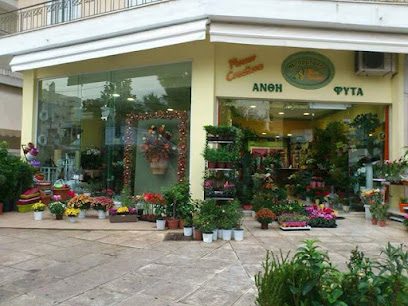 Barbakis flowers