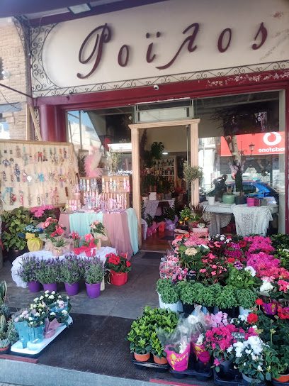 Ροϊλός anthoneira.gr