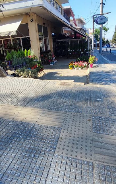 Άνθη φυτά Γ.Κομνηνός