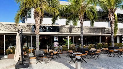 OPUS Inner Pleasure