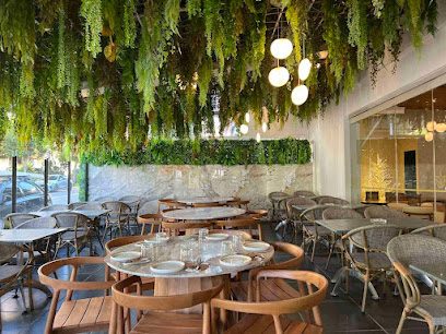 Aloe Cafe Trattoria