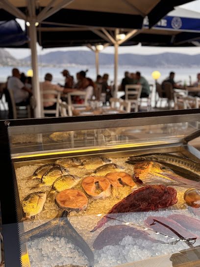PORTO LEONE - ΟΥΖΕΡΙ - ΜΕΖΕΔΟΠΩΛΕΙΟ - ΑΝΑΣΤΑΣΙΑΔΗ ΧΡΥΣΟΥΛΑ - ΣΑΛΑΜΙΝΑ